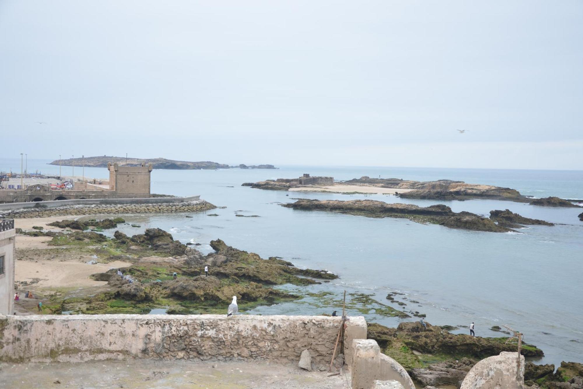 Hotel Dar Loulema à Essaouira Extérieur photo