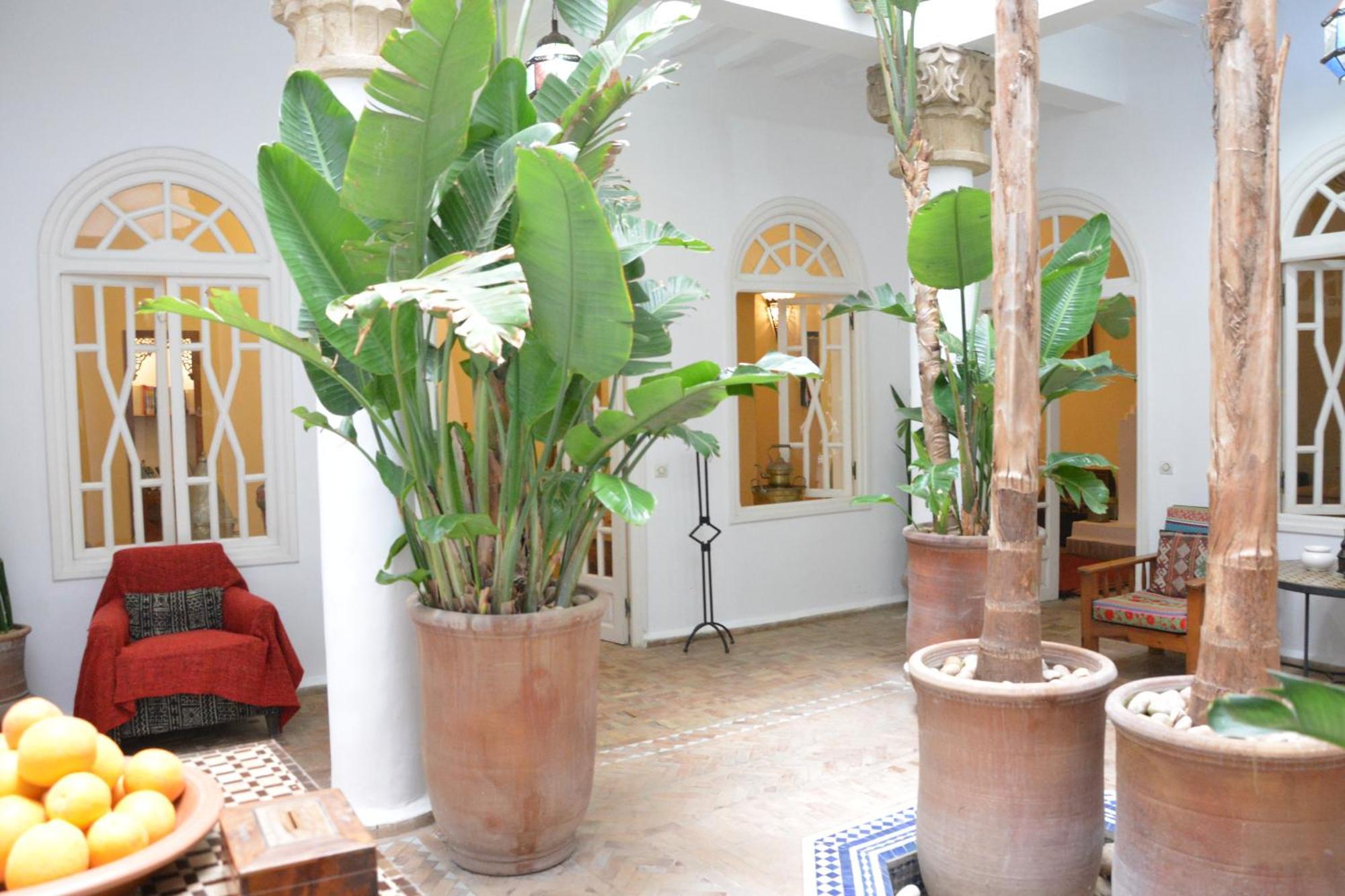 Hotel Dar Loulema à Essaouira Extérieur photo